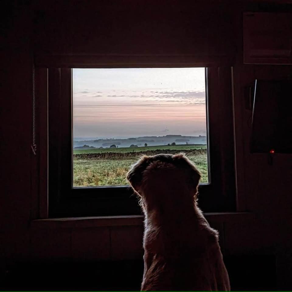 Luxury Shepherd Hut In The Peak District Bakewell Εξωτερικό φωτογραφία